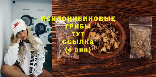 Альфа ПВП Алексин