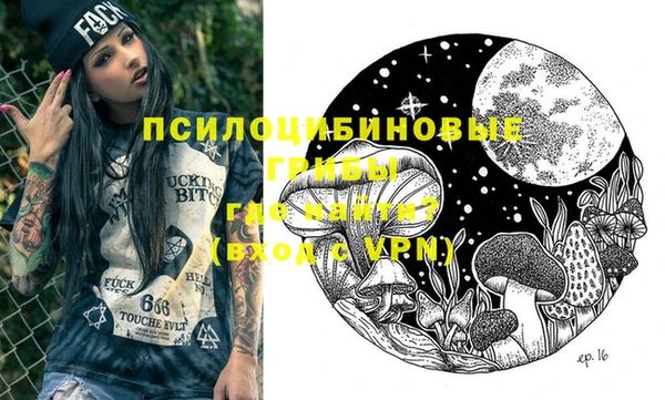 ПСИЛОЦИБИНОВЫЕ ГРИБЫ Абаза
