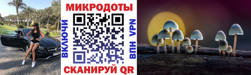 Галлюциногенные грибы Psilocybine cubensis  kraken ONION  Алупка 